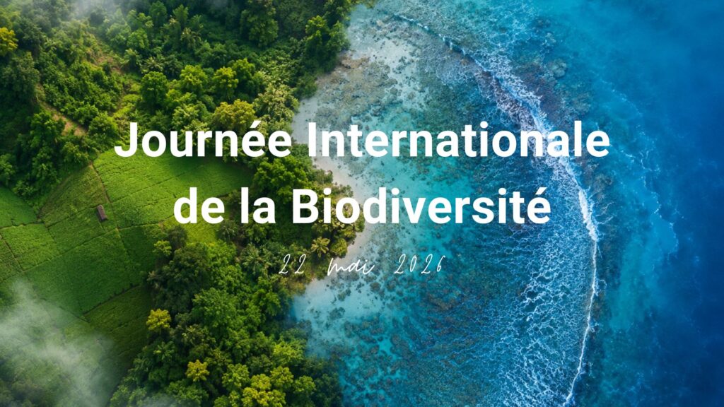 Nature biodiversité