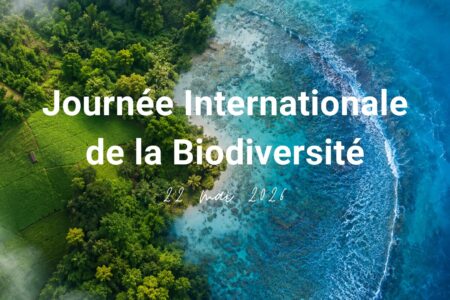 Journée Internationale de la Biodiversité – 22 Mai 2026